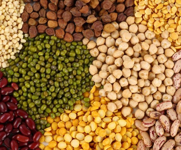 pulses-lentils-wholesale4